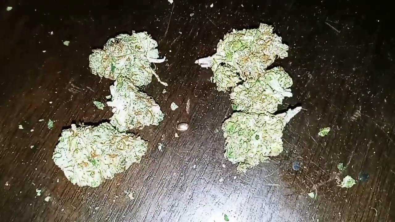 Thin Mint Girl Scout Cookies strain review