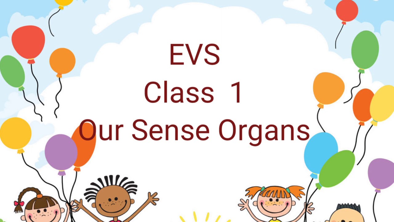 Class 1 EVS Sense Organs[2]