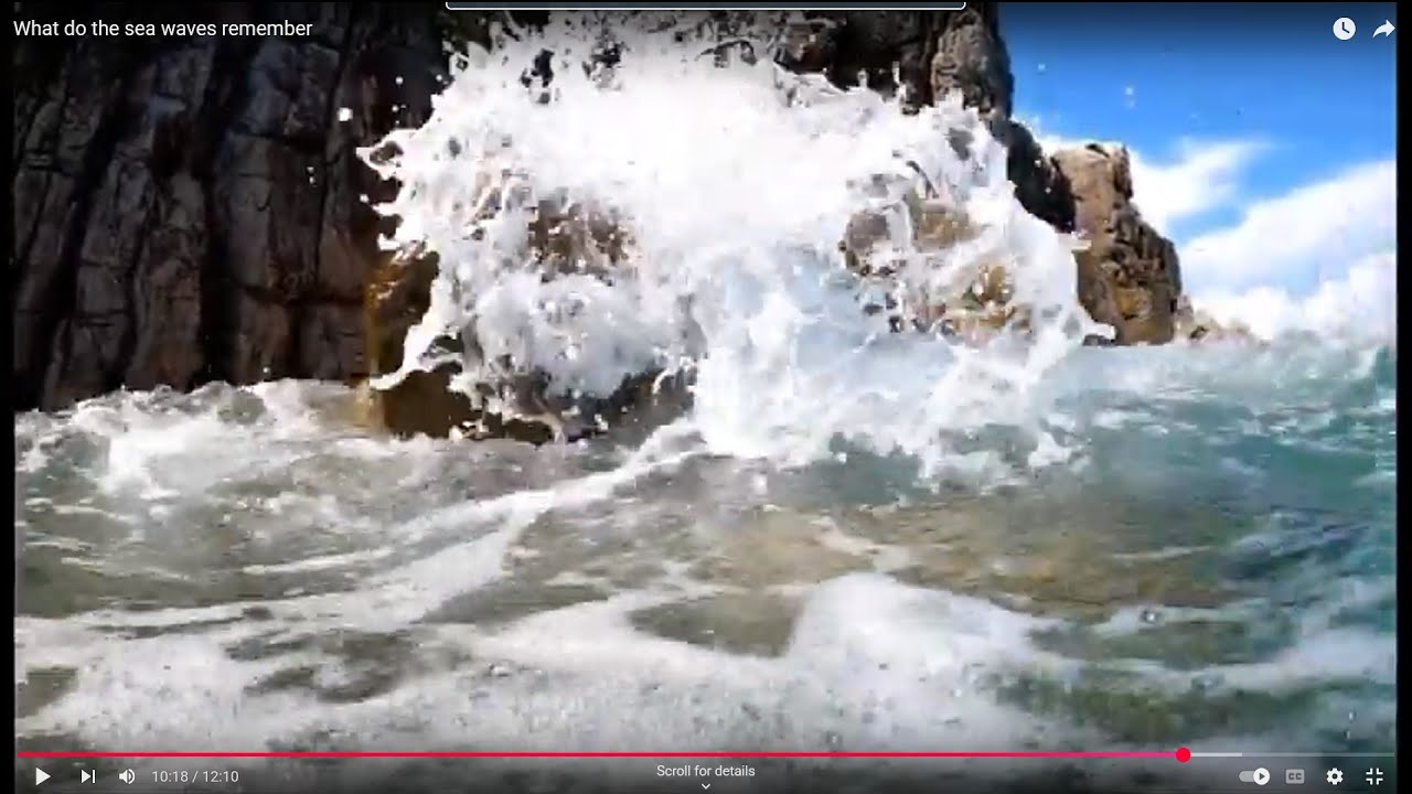Jan Hol&yacute; & Michael Romanovsk&yacute; : What do the sea waves remember