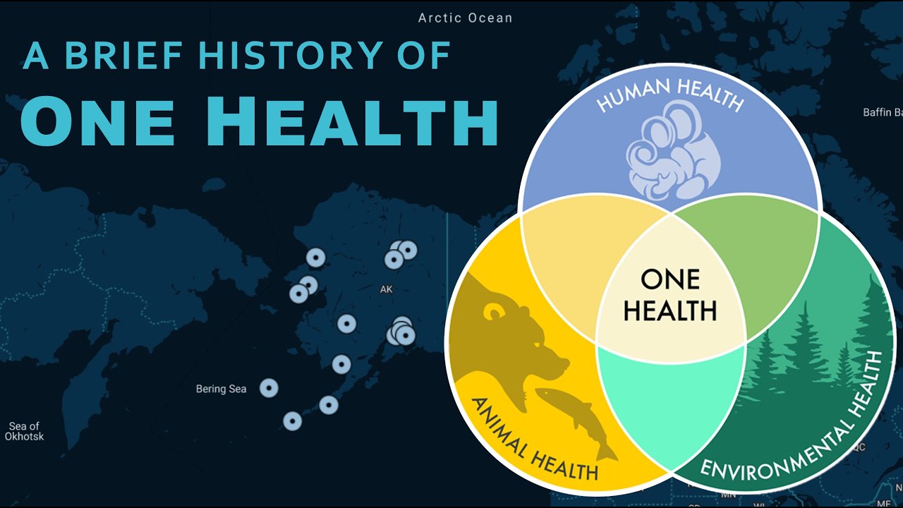 History Of One Health