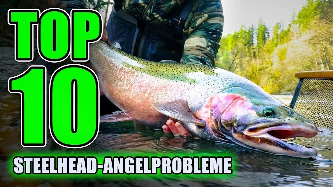 Die 10 größten Fehler beim Steelhead-Angeln – und keine liegt an deiner Ausrüstung!