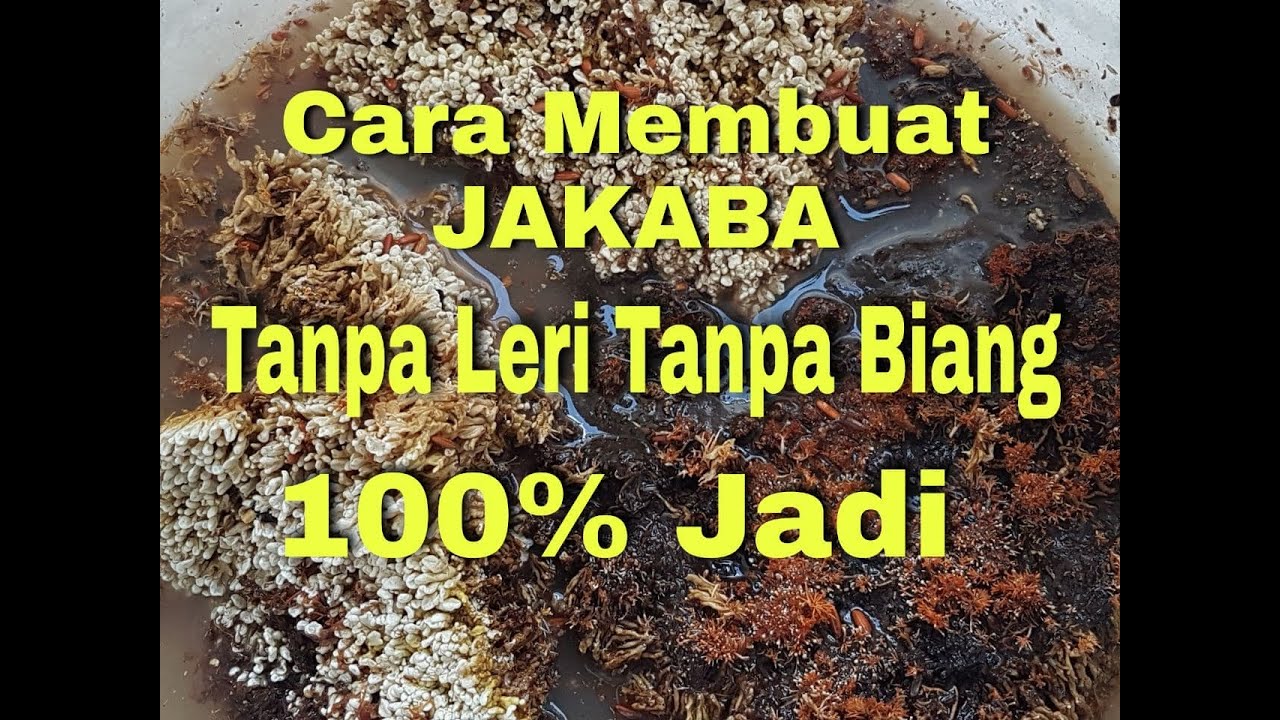 Cara Membuat JAKABA Tanpa Leri dan Tanpa Biang Insha Allah 100% jadi