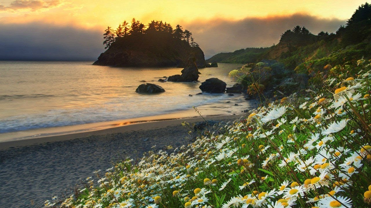 Music by Sri Chinmoy, Mountain-Silence Group.