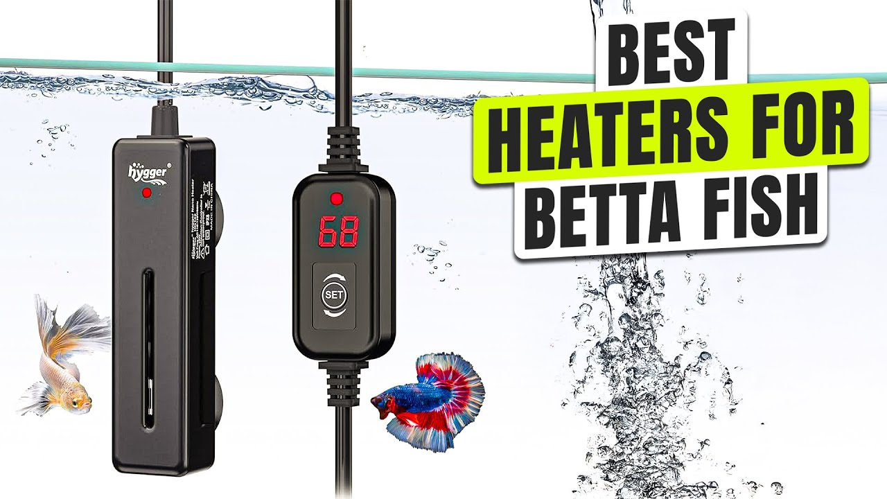 3 BEST Heaters for Betta Fish