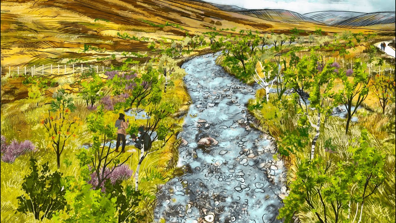 Imagining the future | Forestry and Land Scotland