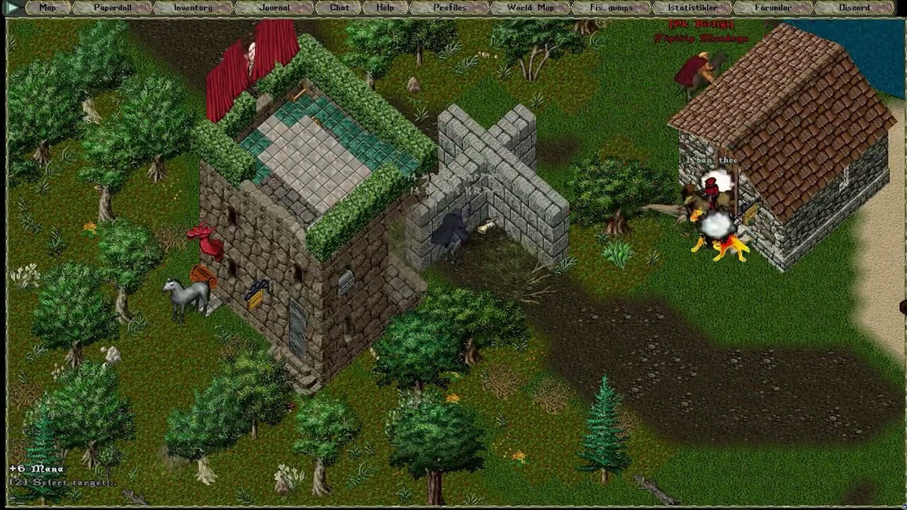 Departureler VS Dost Meclisi-Abdestsizler-Haşhaşi :)Ultima Online Pyramid Action #pyramiduo
