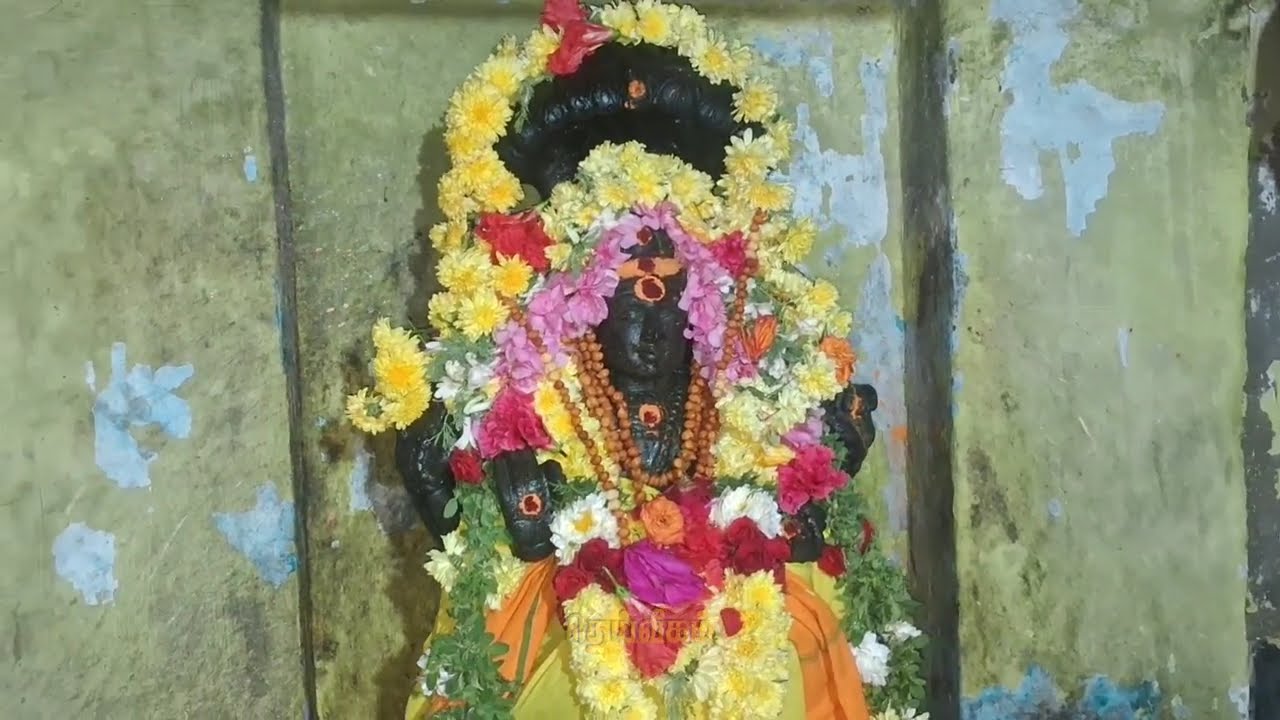 திருவாரூர் புலிவலம் அருள்மிகு  தக்ஷ்ணகோகர்ணேஸ்வரர் ஆலய குருபகவான் தரிசனம்