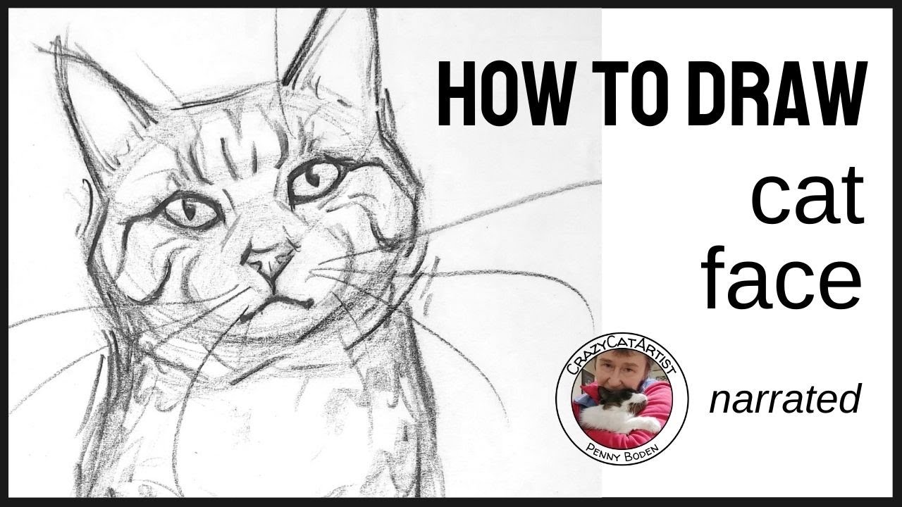 How to Draw Cat Face Front Forward View | Domestic Shorthair Tabby Head & Shoulders Picture Pose
