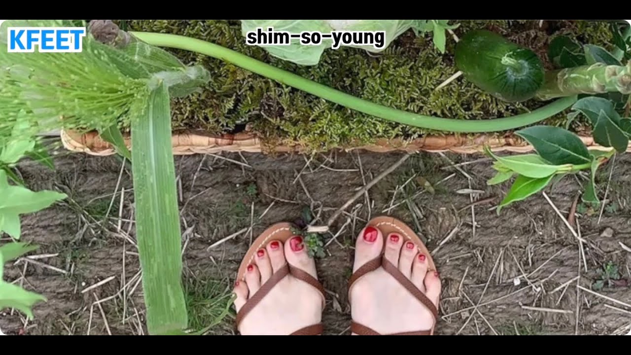 Korean female singers, girl groups, and female actors' feet 57