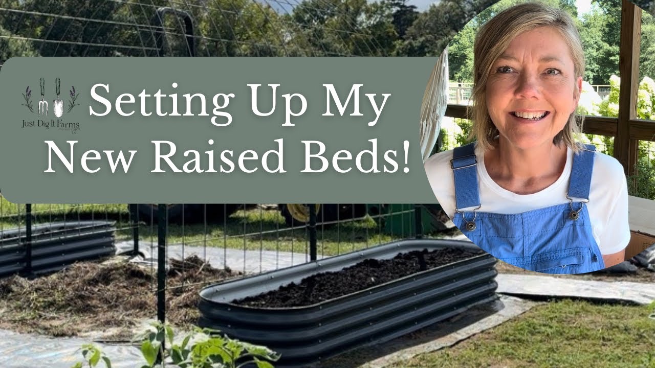 Setting Up My New Raised Beds | Vego Garden 9 in 1 Raised Beds