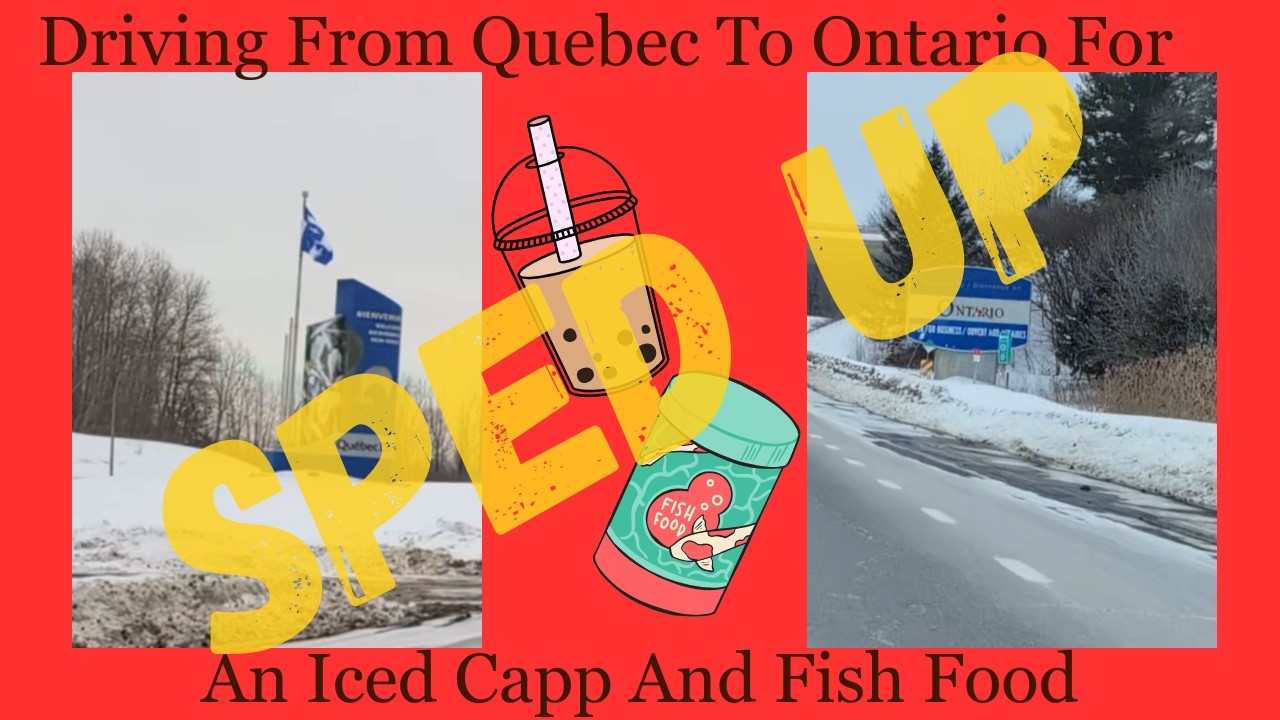 Driving From Quebec To Ontario For An Iced Capp And Fish Food SPED UP