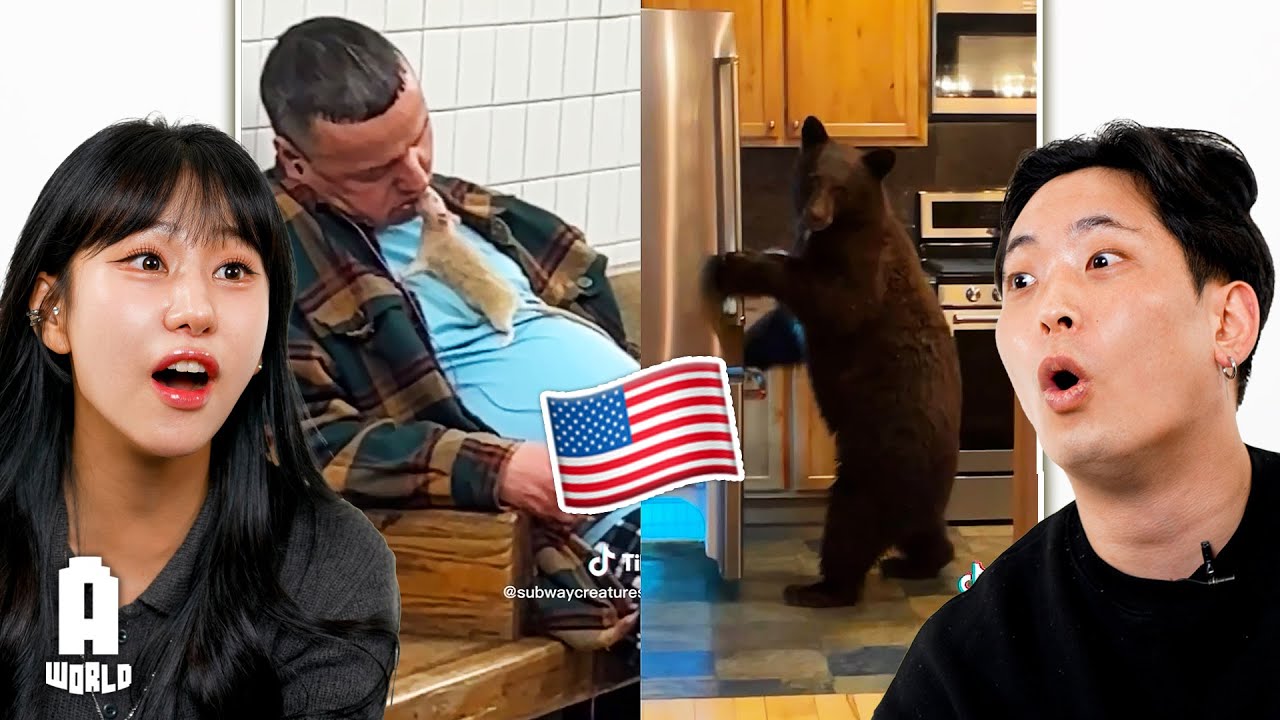 Koreans react to AMERICA IS NOT A REAL PLACE!