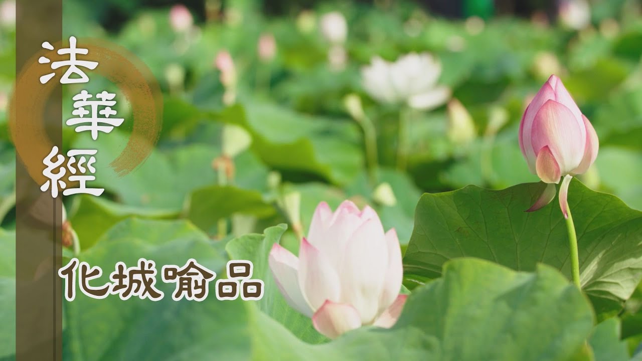 【靜思妙蓮華】法華經化城喻品 - 成就善因 增福慧果 - 20211130 第1035集