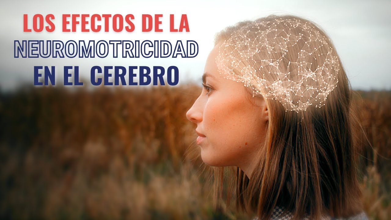 Efectos positivos de la Neuromotricidad en nuestro cerebro.