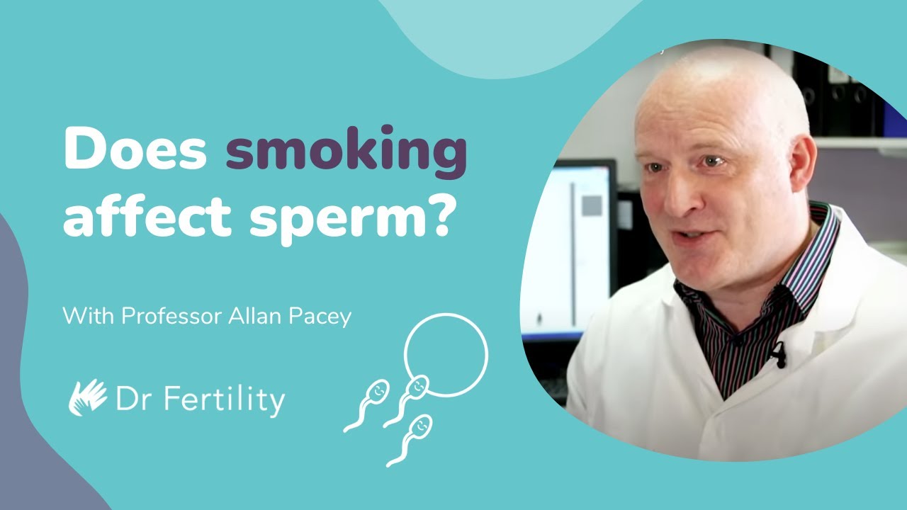 Apakah Merokok Mempengaruhi Sperma? | #spermbanter | Dr Fertility