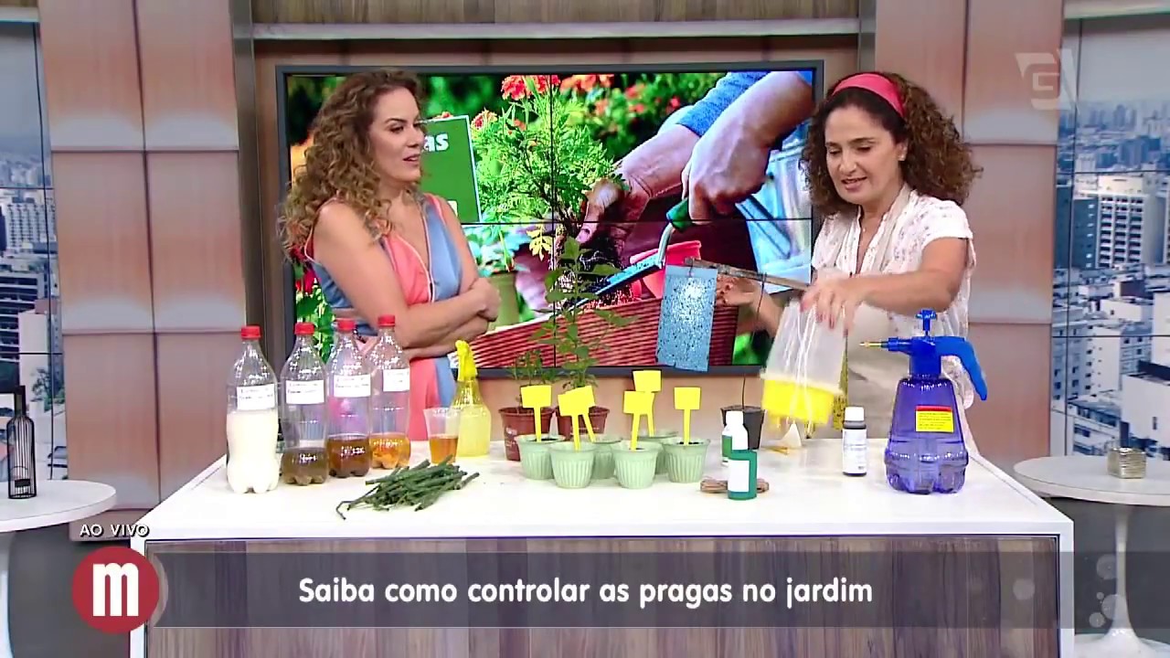 Como controlar pragas no jardim com Silvia Jeha