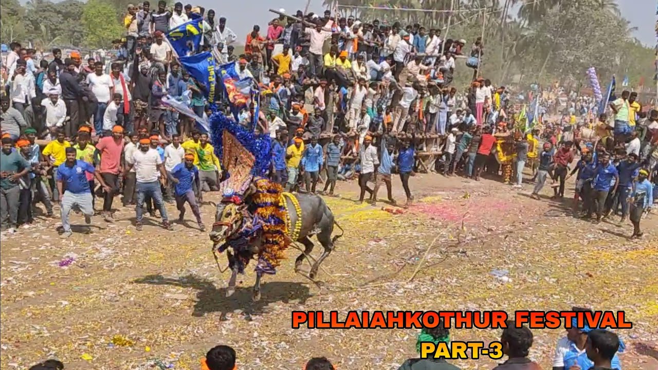 PILLAIAHKOTHUR FESTIVAL PART-3 @msbull8651