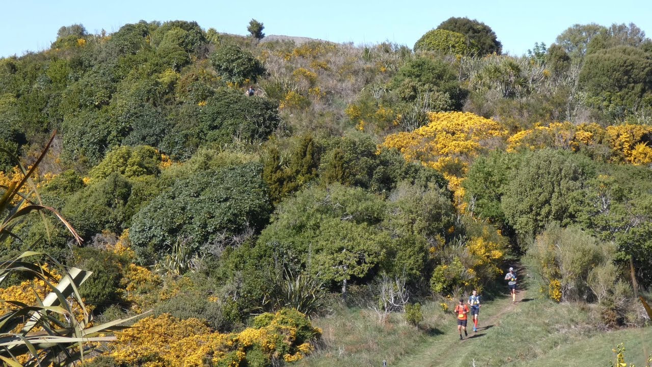 4K UHD - Outdoor Recreation #1 - Crater Rim Trail Event - Port Hills - Christchurch - Ambient Music