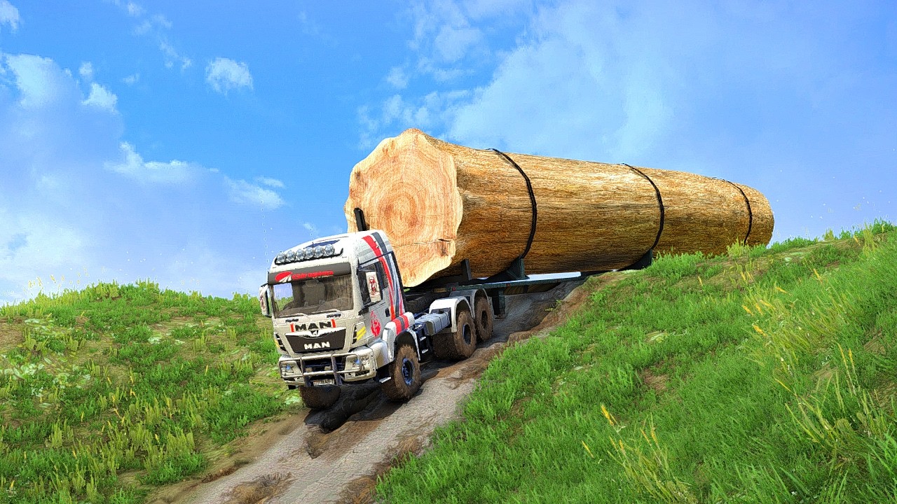 DEADLY Logging Truck Dangers Hiding in Plain Sight on Clift