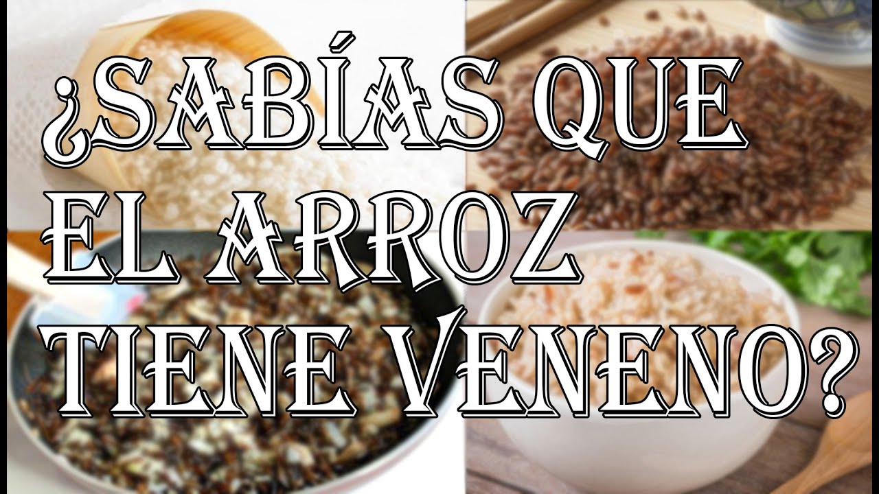 &iquest;Sab&iacute;as que el arroz tiene veneno? - Por Monick Huitr&oacute;n