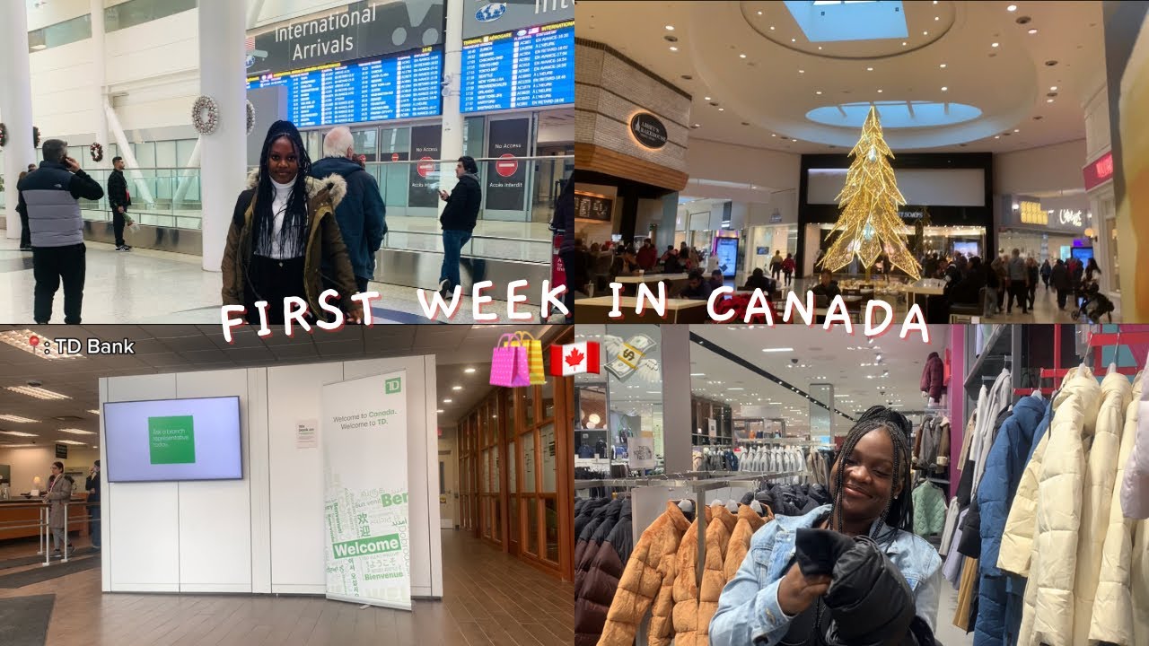 My First Week in Canada🇨🇦 | SIN, Bank account, shopping, phone number, cold and the food