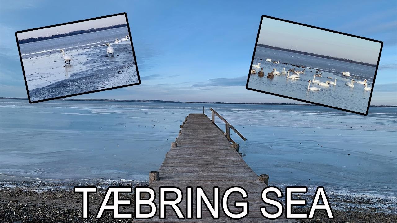 Frozen Sea in Tæbring, Nykøbing Mors