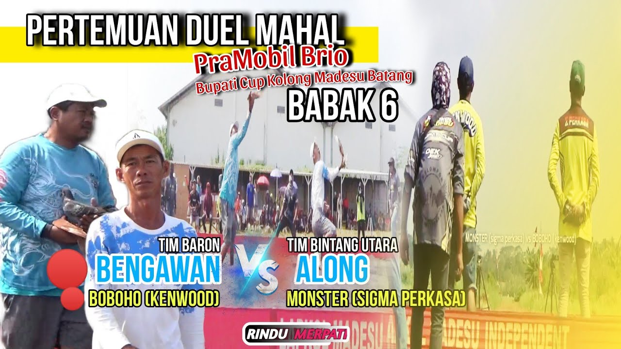 Tontonan Mahal💥Duel Merpati Papan Atas|Babak 6 PraMobil Brio Bupati Cup Kolong Madesu Batang