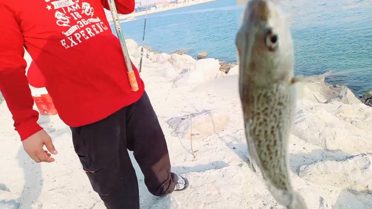 Fishing in Al Zorah Ajman  (its now open)
