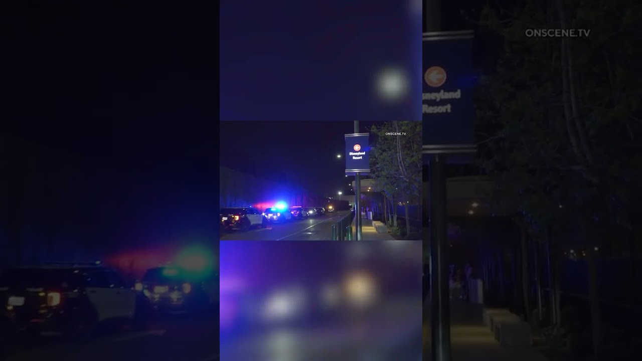 Disneyland 'Swatting' Hoax Draws Massive Police Response to Park
