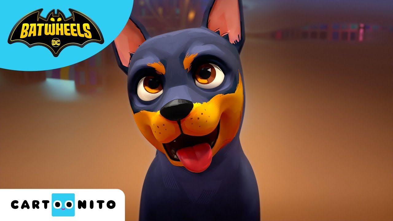 Träffa Batmans valp | Batbilarna | Tecknat för barn | Cartoonito Sverige