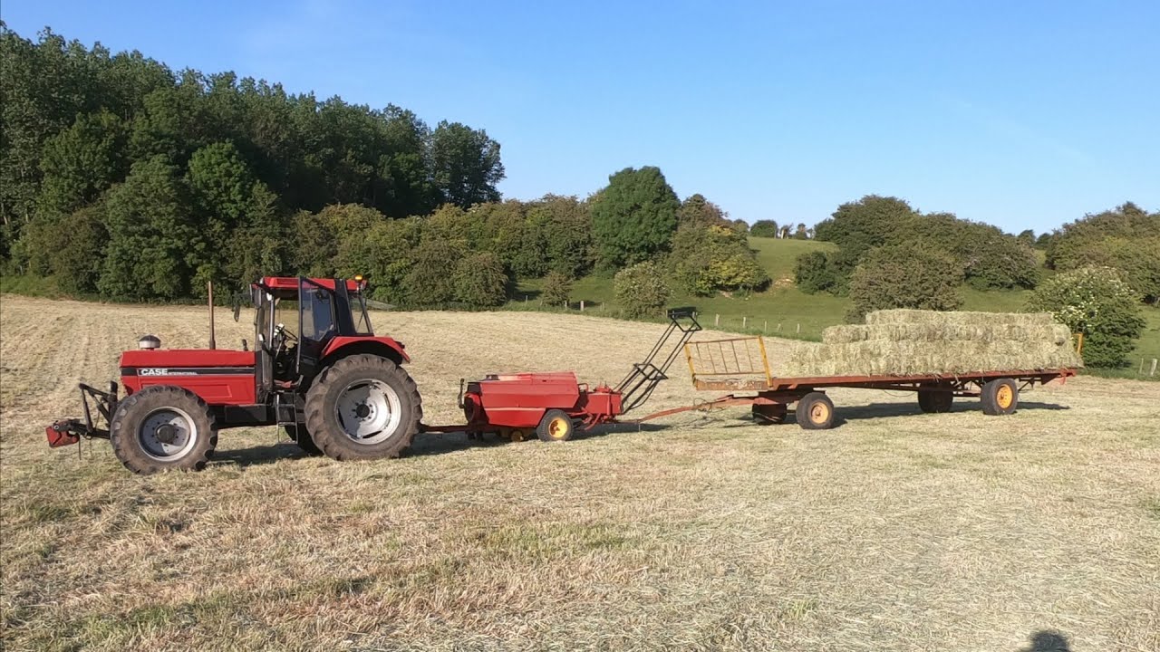 Case IH 1455 XL aux fenaisons 2020 !! fauche et pressage de petits baloots !!