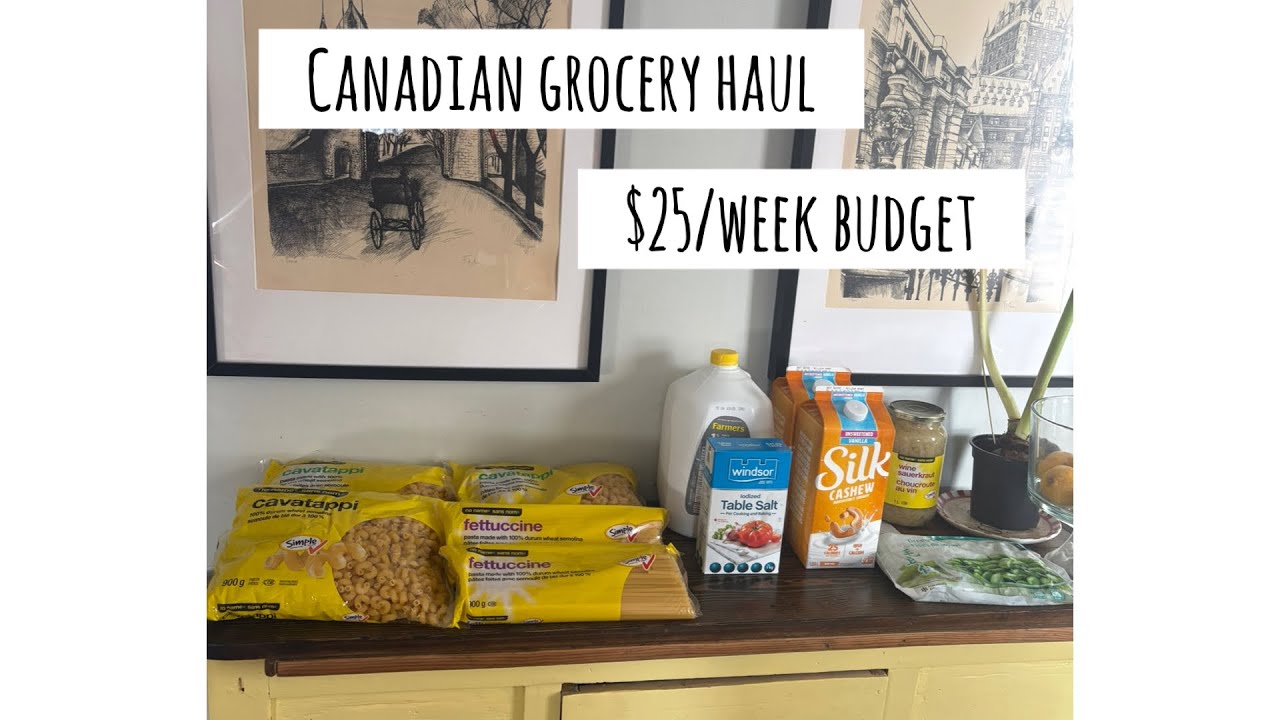 Everything we bought this week for $25, staying on budget for low spend January