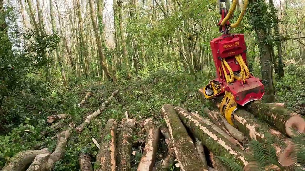 Konrad Woody 40 Processing Hardwood