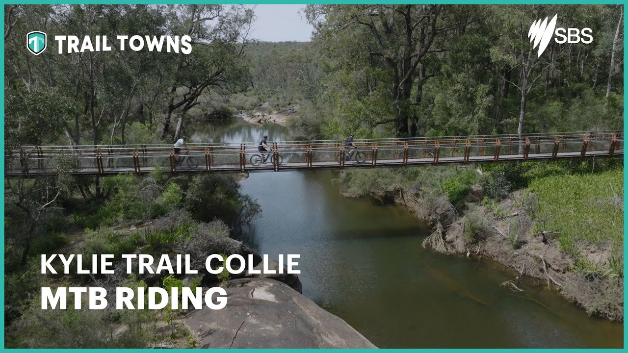 Kylie Trail Collie | WA AUS