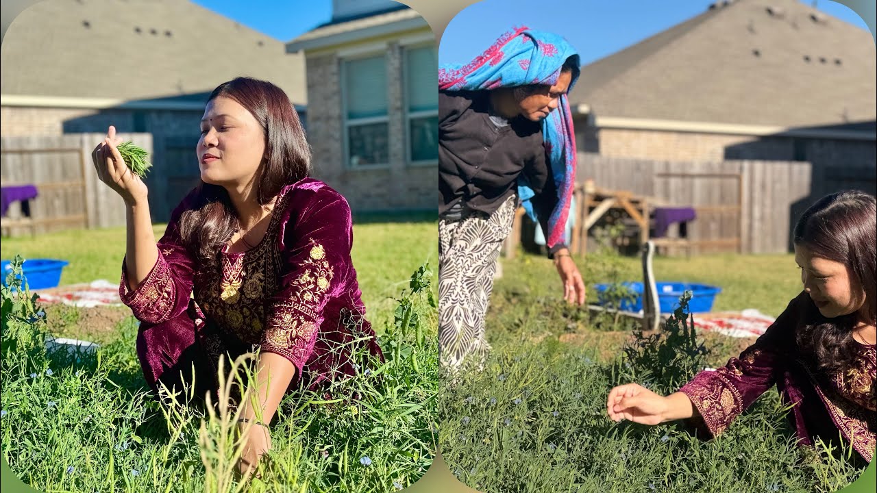 Latari / kerau ko saag in USA 🇺🇸 ❤️😋| maghe sankranti 2026 