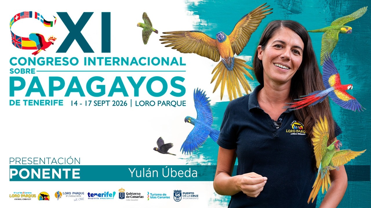 006 Congreso Papagayos Podcast -  Yul&aacute;n &Uacute;beda