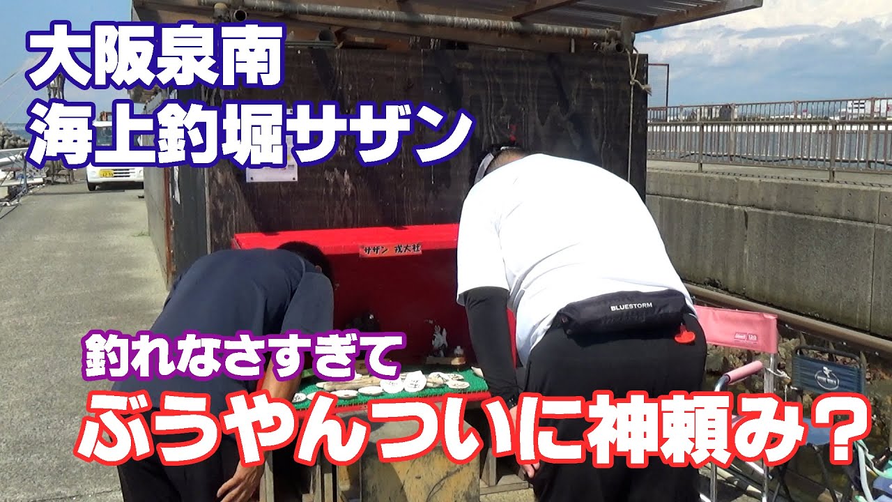 大阪泉南　高級魚狙いに海上釣堀サザンへ2年ぶりに出撃しました！　コロ釣　関西