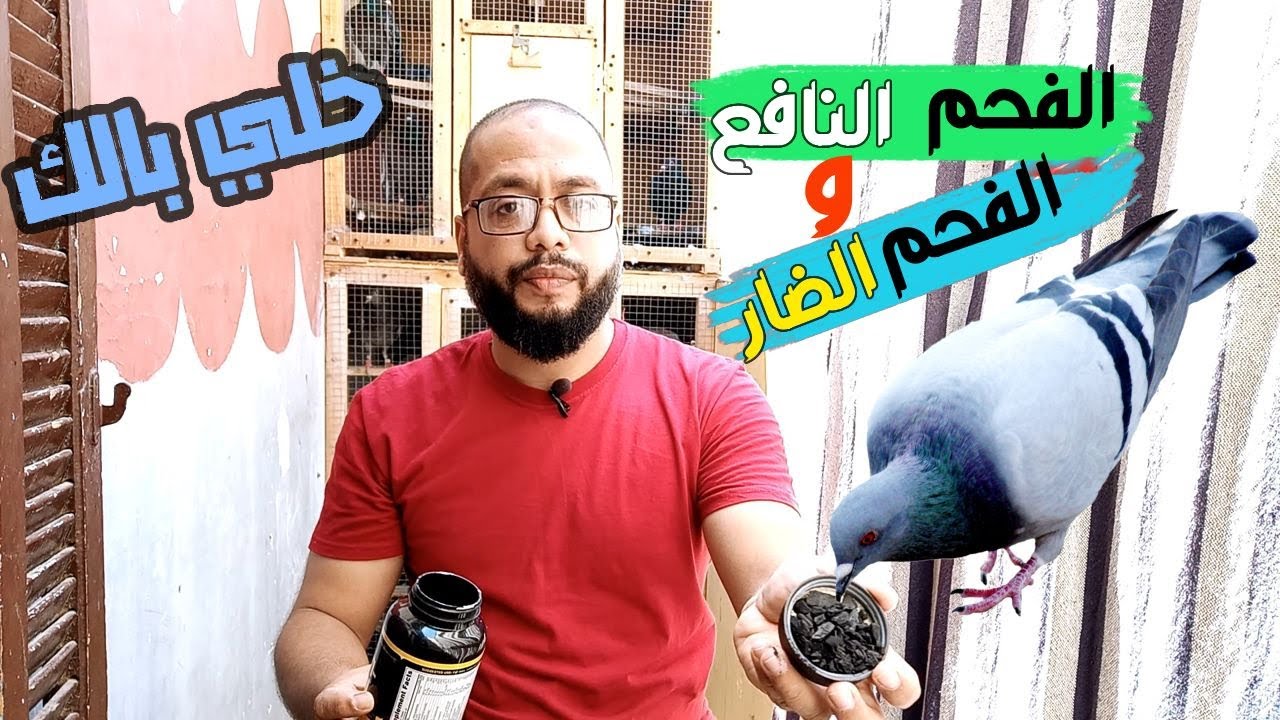 اوعى تقع في الغلط وتضيف الفحم على خلطة التحديق هتخسر كتير