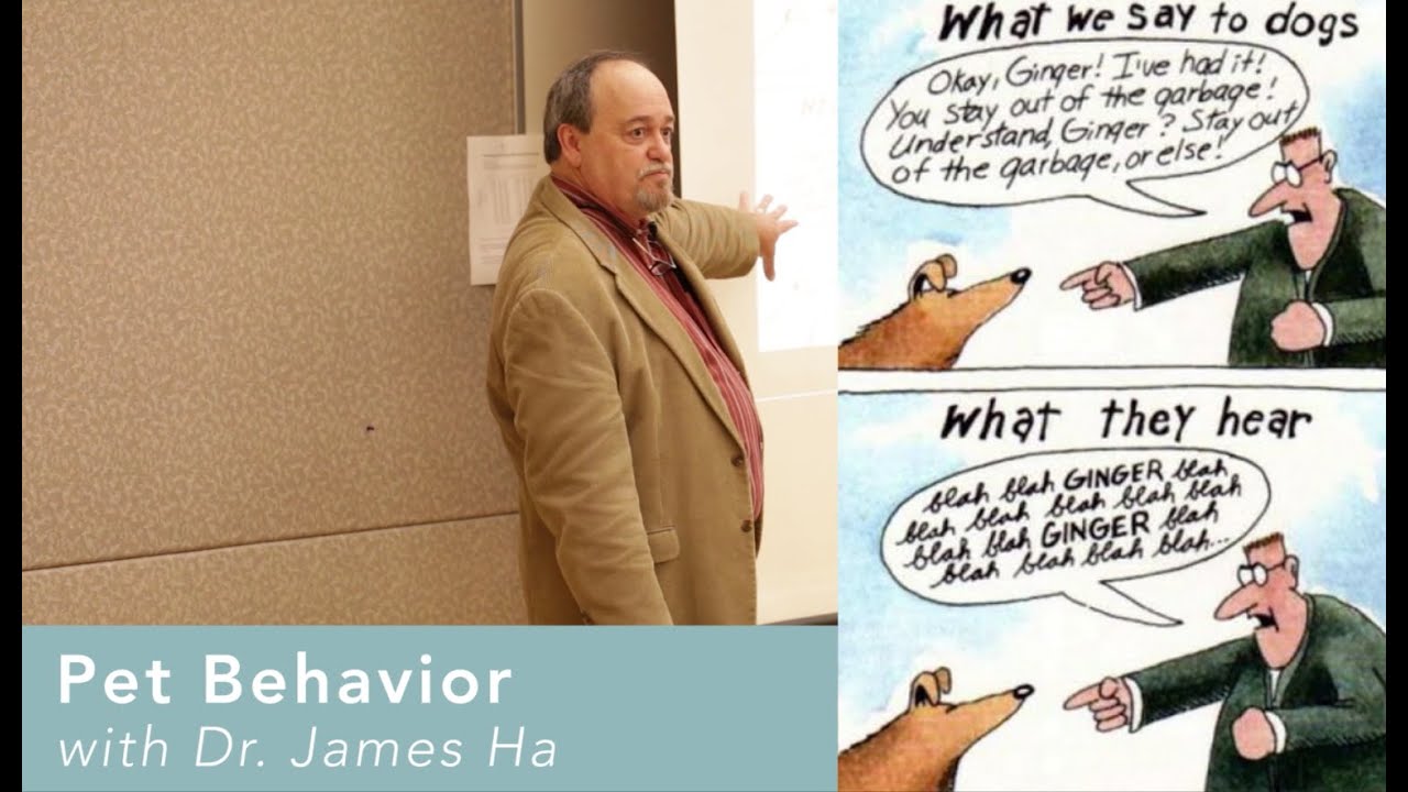 Pet Behavior with Dr. James Ha