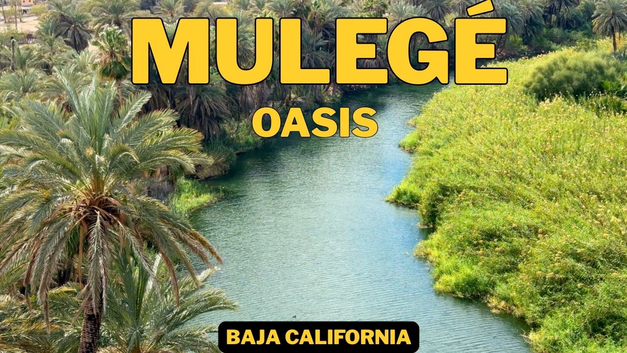 El País de los Oasis: Mulegé y San Ignacio, el milagro de agua en Baja California Sur