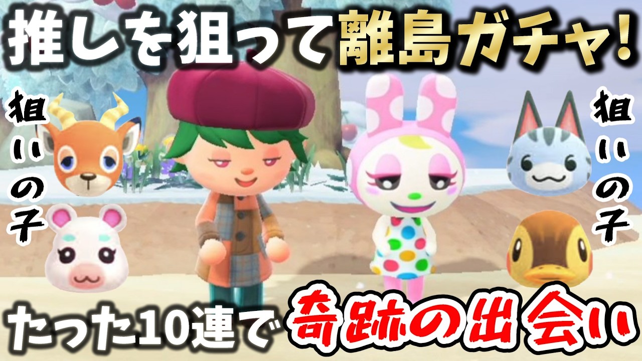 推しを狙って離島ガチャ！たったの10連で奇跡の出会いをしたよ【あつまれどうぶつの森】【あつ森】