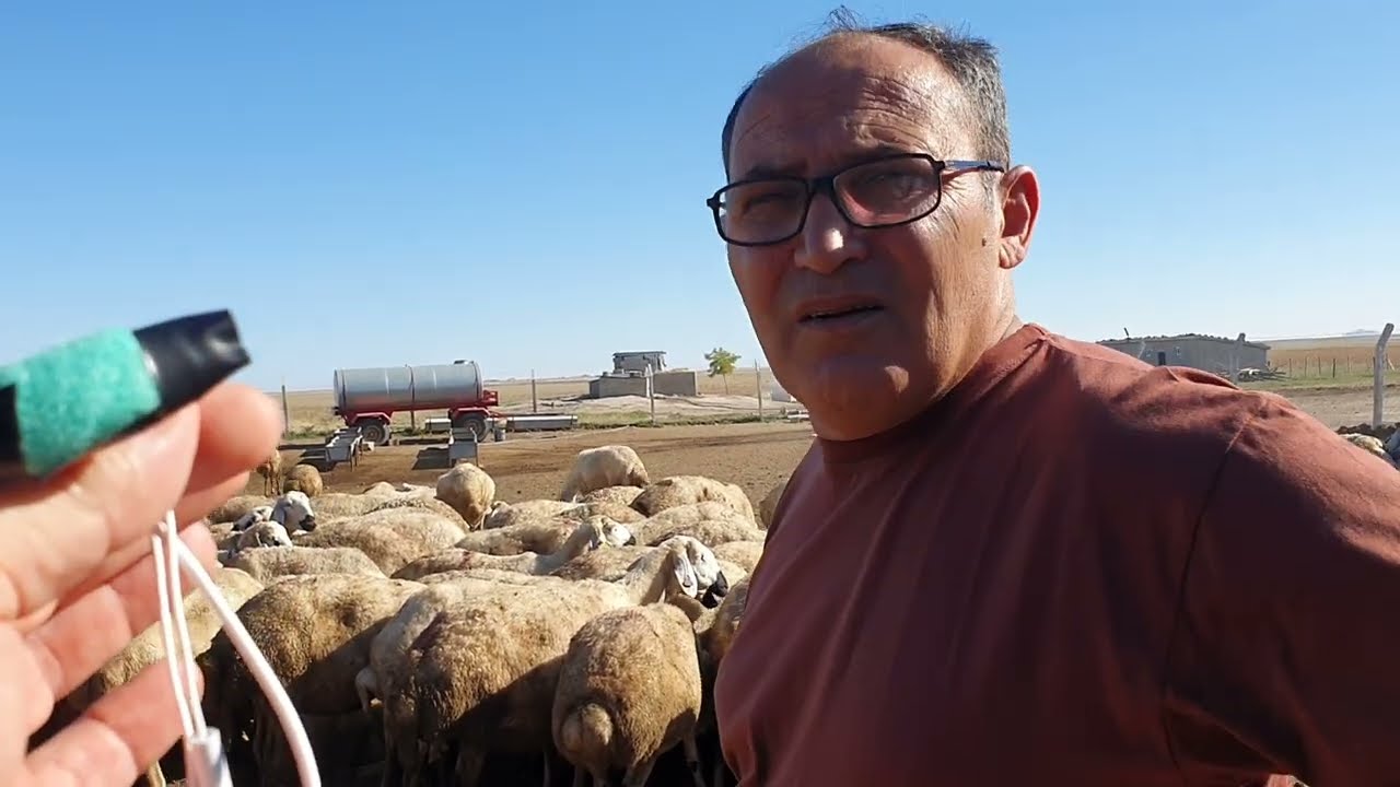 inşaatımız bitti