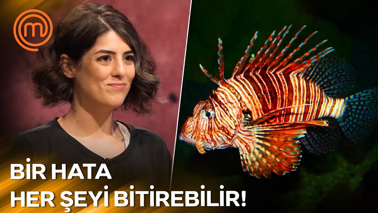 Eleme Turunda Zehirli Balık! | MasterChef Türkiye