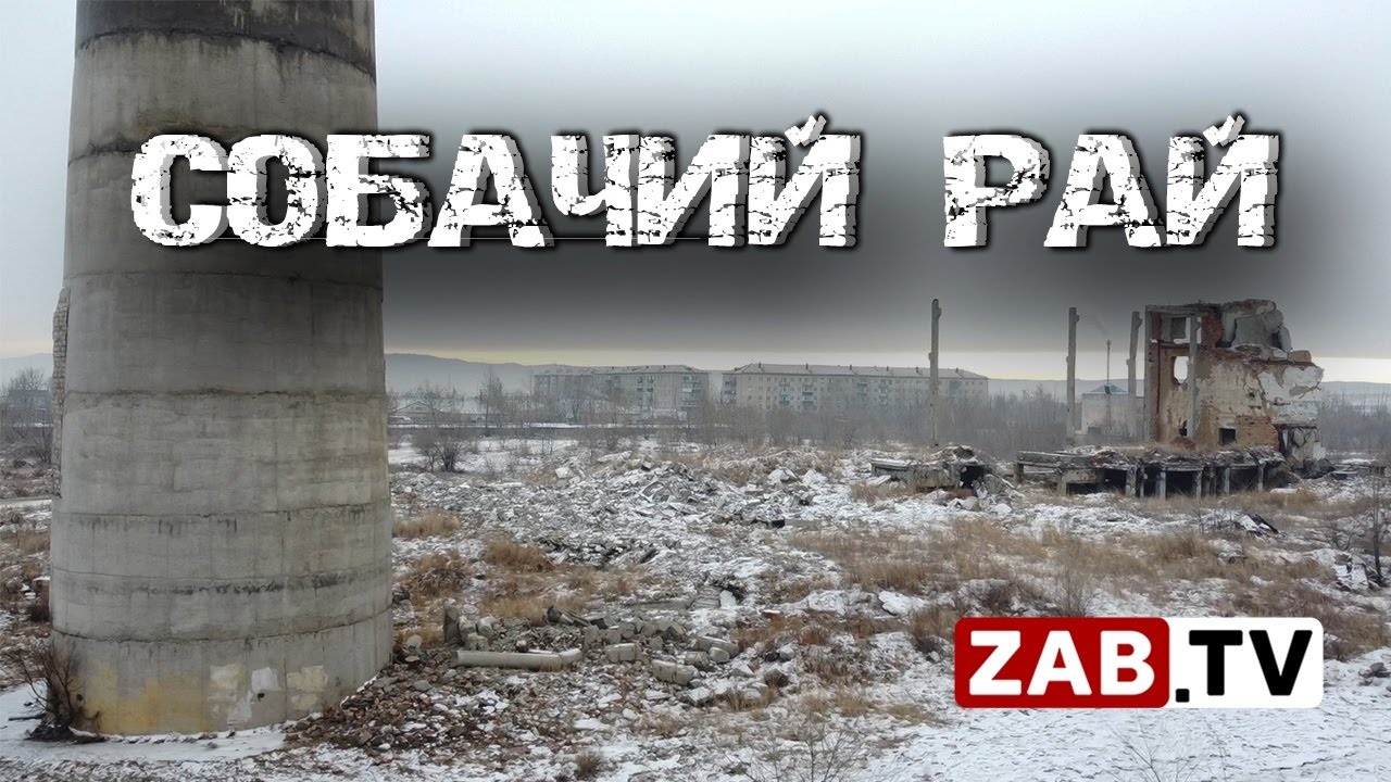 Бродячие собаки, свалки, заброшки. Достопримечательности посёлка Кадала.