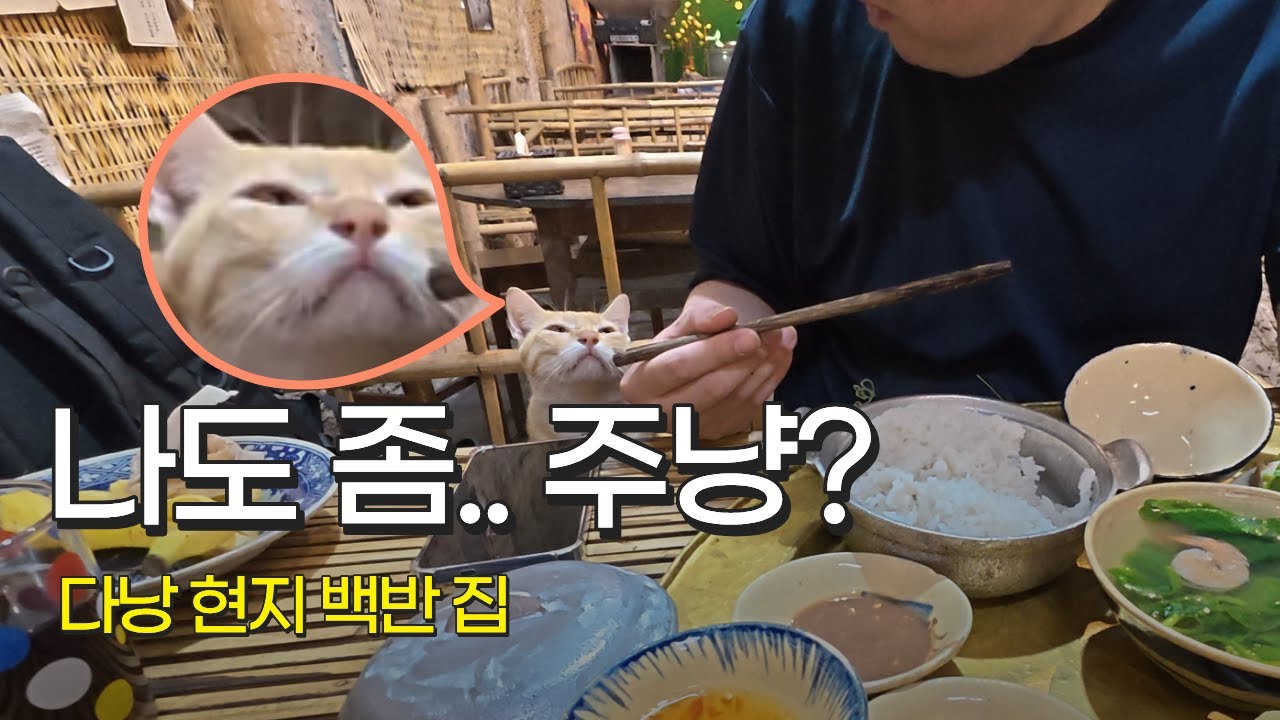 🇻🇳다낭 '베정식'먹으러 왔다가(EP.19 | 베트남 다낭)