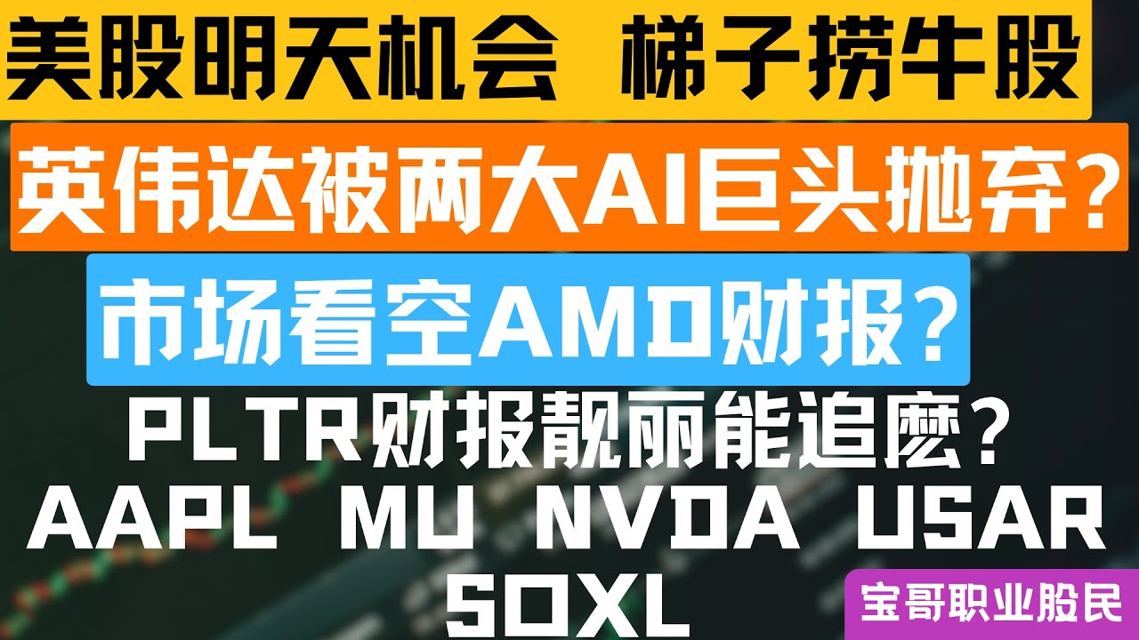 英伟达被两大AI巨头抛弃? 市场看空AMD财报? PLTR财报靓丽能追麽? AAPL MU NVDA USAR SOXL！02022026 