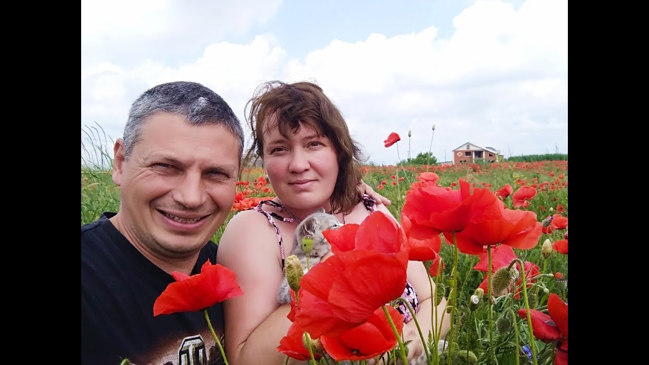 обзор родительского дома в станице Троицкая 61 км от нас, маковое поле зачаровывает