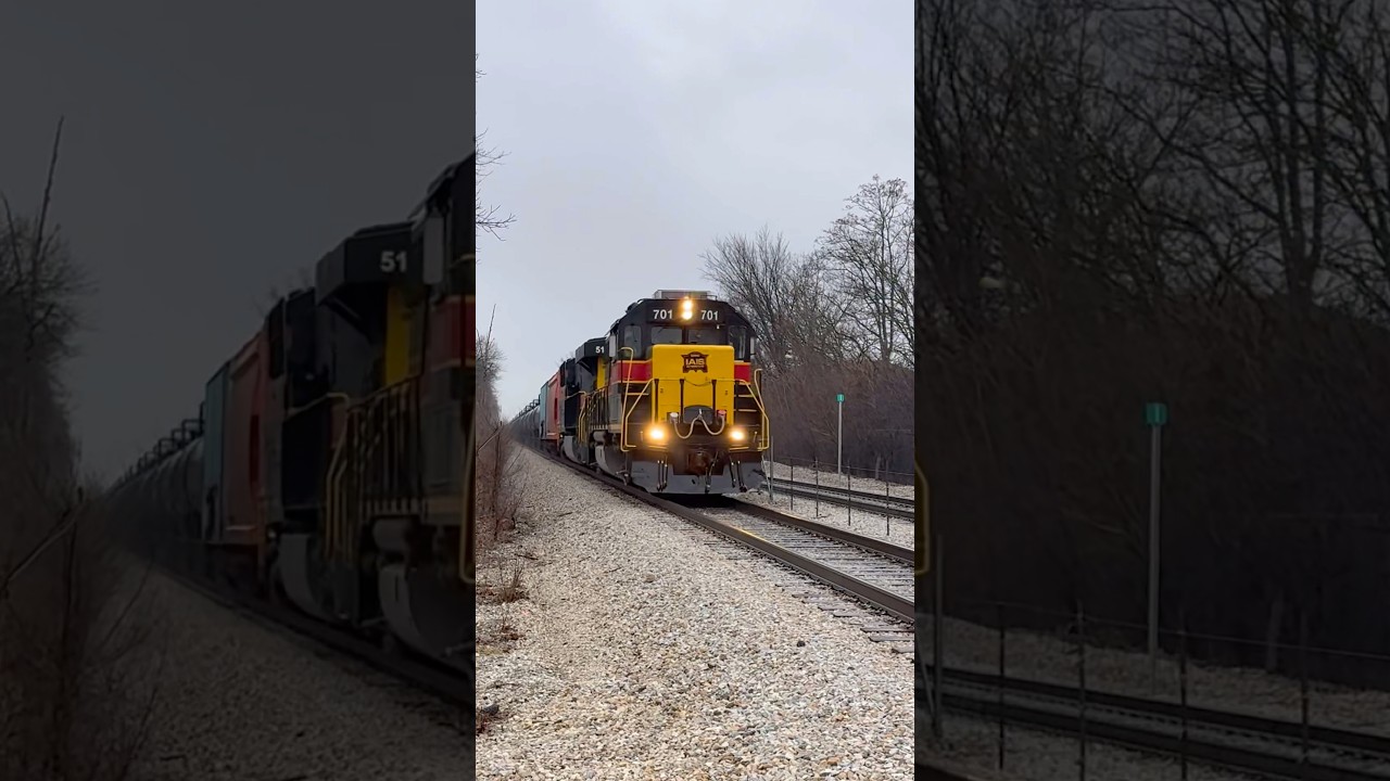 IAIS 701 Leading Rare Daylight SIBI Through Oak Forest 