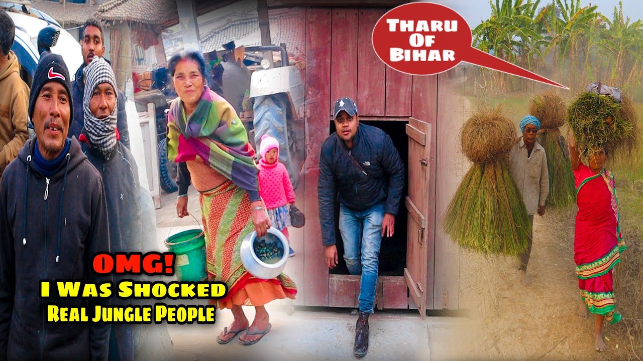 I Was Shocked | The Real Jungle People In Tiger Reserve Bihar | Syed Saheb Ali Vlogs | Matargashti