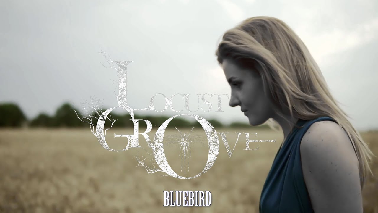Locust Grove - Bluebird (Official Music Video)